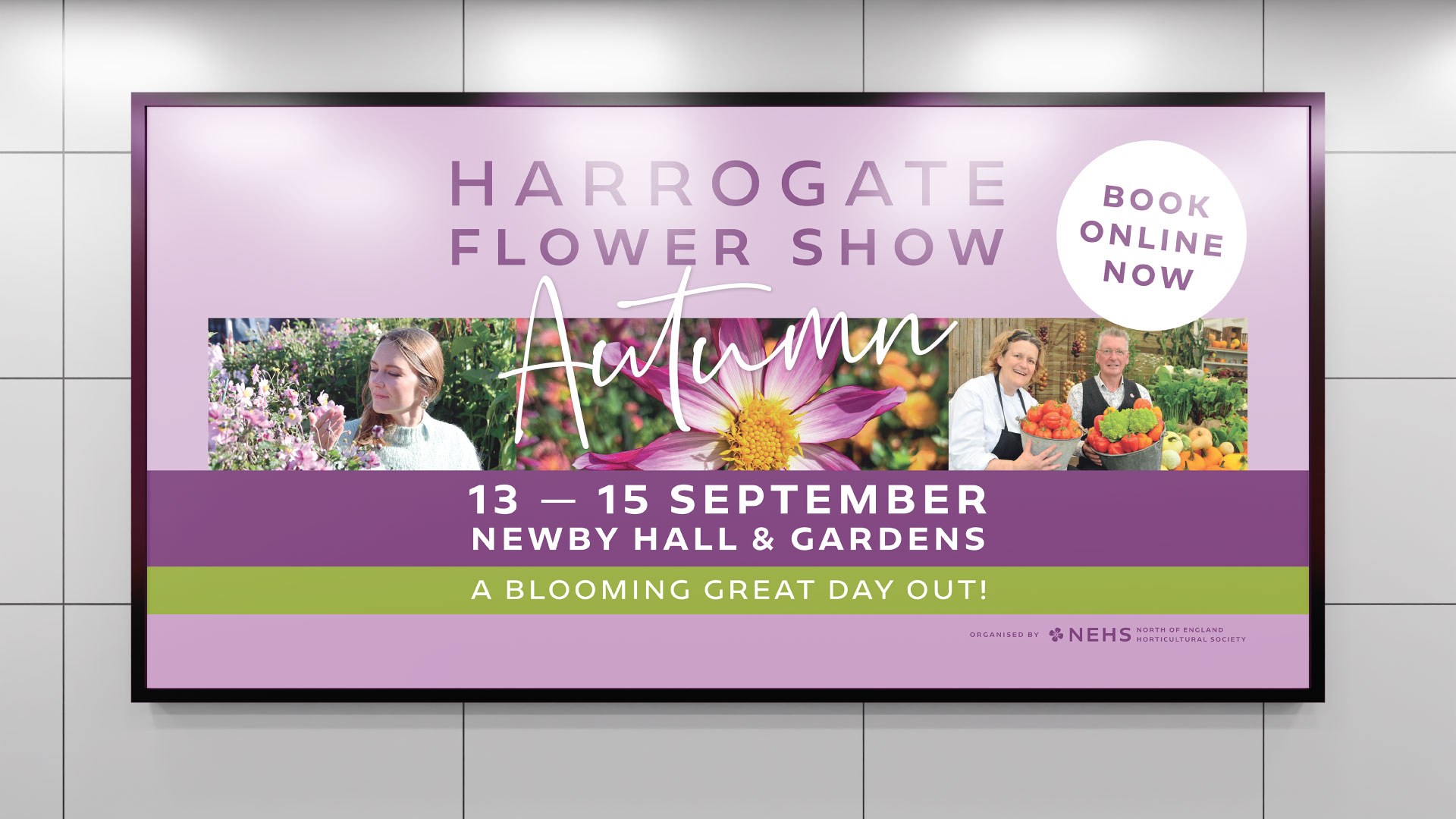 Harrogate Billboard Mockup